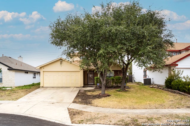 3845 Mistflower, Converse