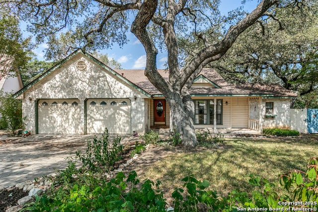 13415 Lobelia, San Antonio