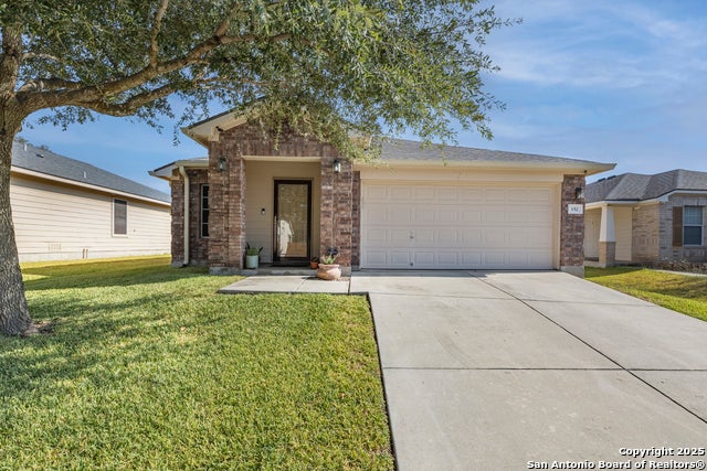 152 Harness, Cibolo