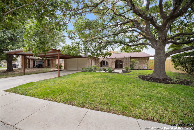 8710 Jack Bean, San Antonio