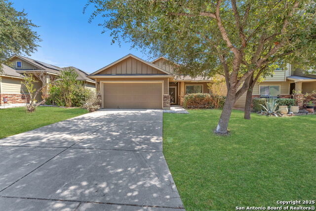 4502 Gambels Quail, Converse