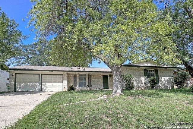 331 Shin Oak, Live Oak