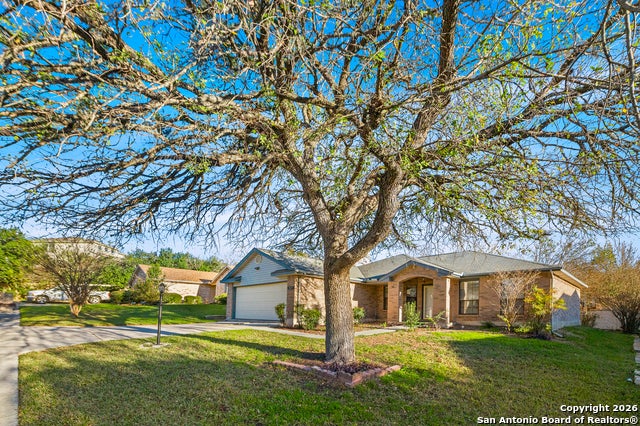 3820 Pheasant, Schertz