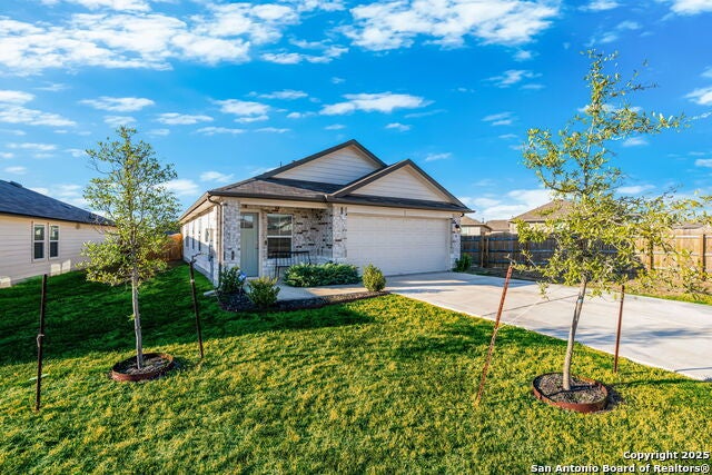 155 Globe Mallow, Kyle