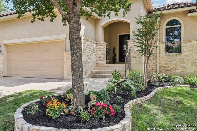 18223 Muir Glen Dr, San Antonio