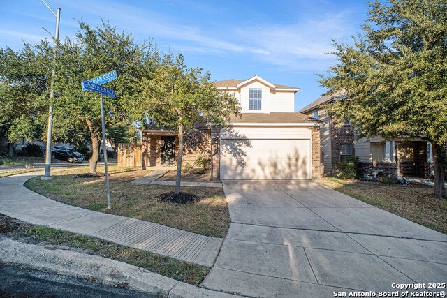 1027 Canadian Goose, San Antonio