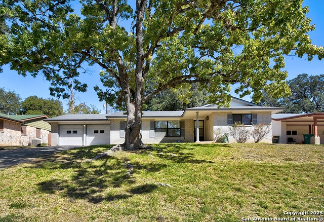 323 Shin Oak, Live Oak