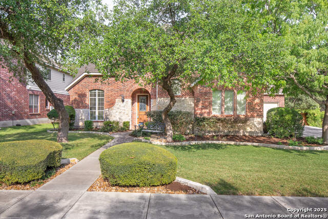 406 Penstemon, San Antonio