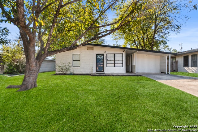 230 Dresden, San Antonio