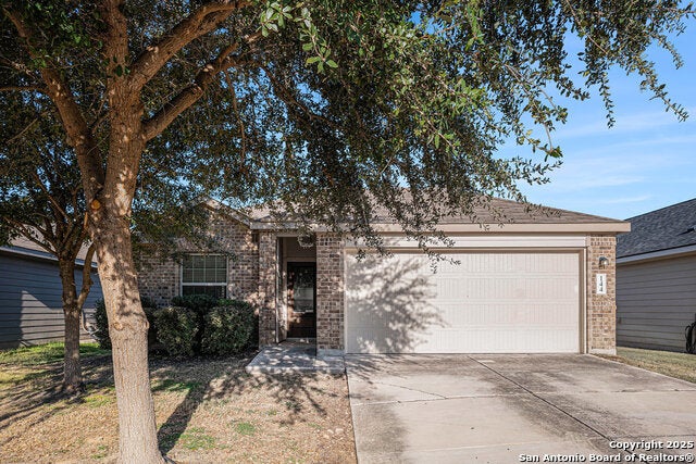 144 Field, New Braunfels