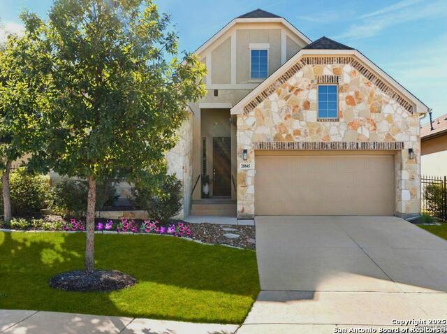 28845 Bluebottle, San Antonio