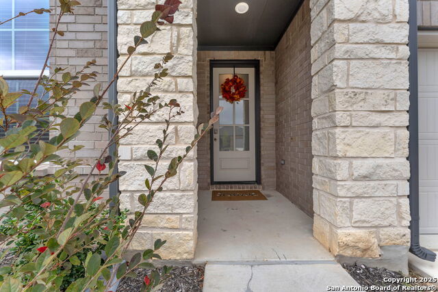 413 Cowboy Peak, Cibolo