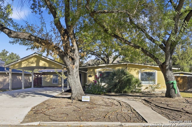 415 Calumet, San Antonio