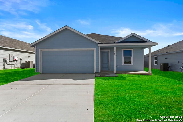 1859 Wood Warbler, New Braunfels