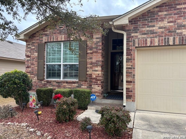 11722 Tahoka Daisy, San Antonio