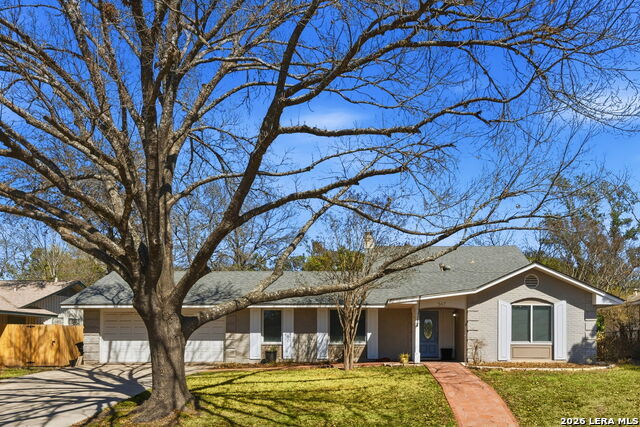 547 Patricia, San Antonio