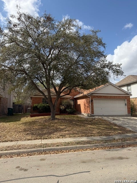 10415 Mustang, Converse