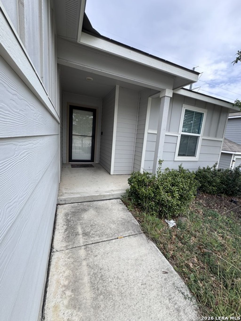 106 Moscovy Duck, San Antonio