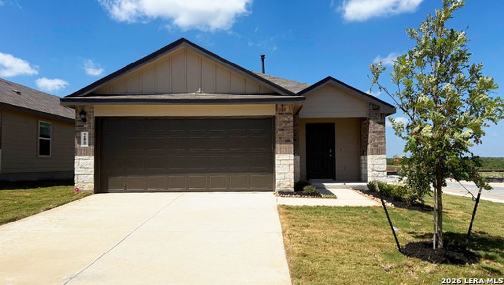 289 Violet Sylph, San Antonio