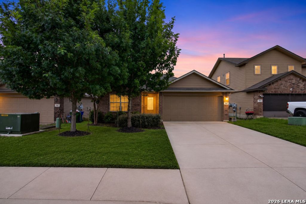 906 Red Crossbill, San Antonio
