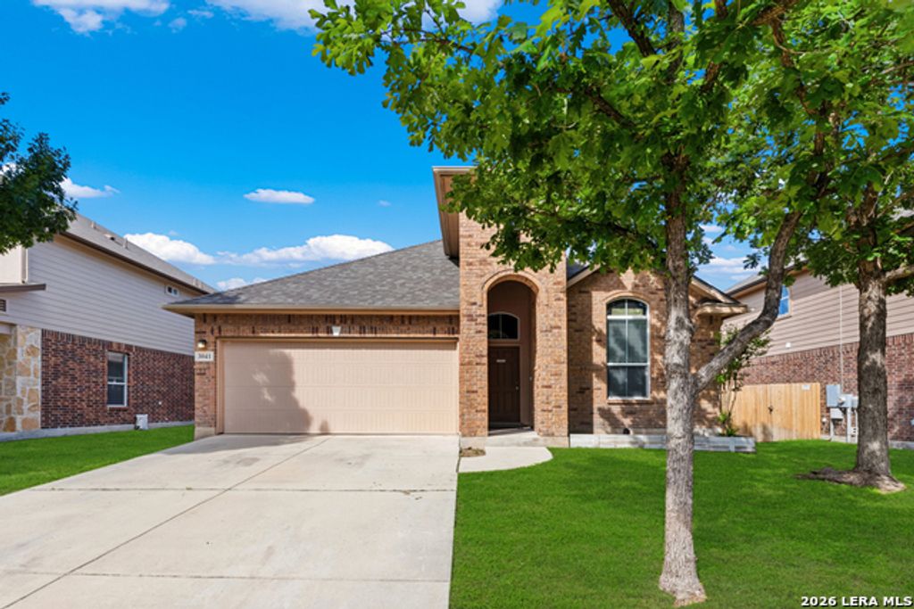 3041 Muntjac, Schertz