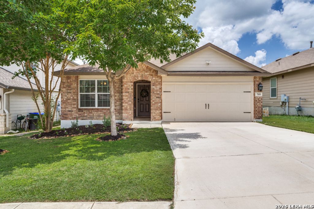 709 Brown Thrasher, San Antonio
