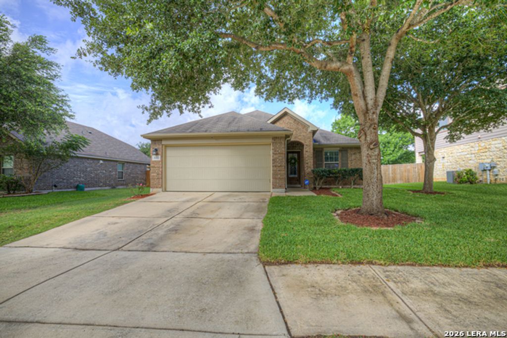 3132 Muntjac, Schertz