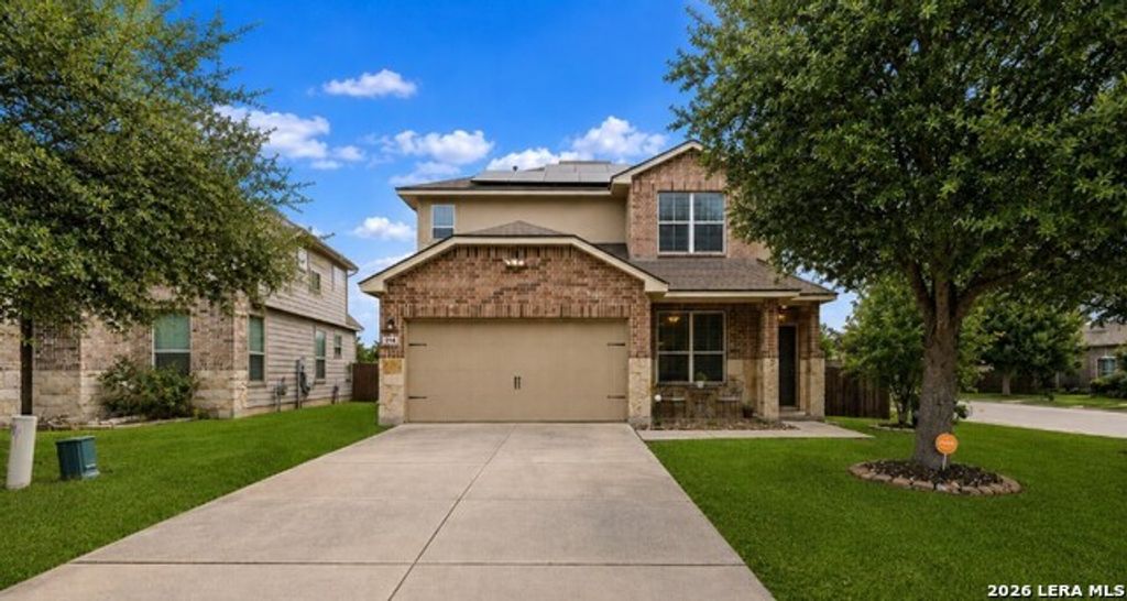 116 Summer Tanager, San Antonio