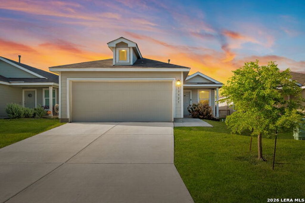13923 Jersey Cow, San Antonio