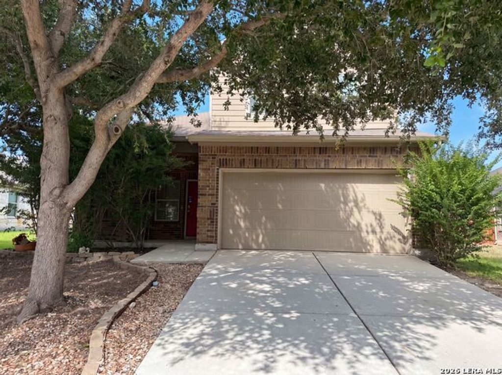 3133 Muntjac, Schertz