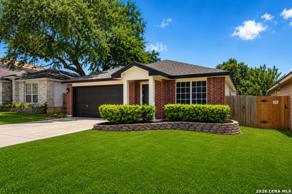 1222 Cougar Country, San Antonio