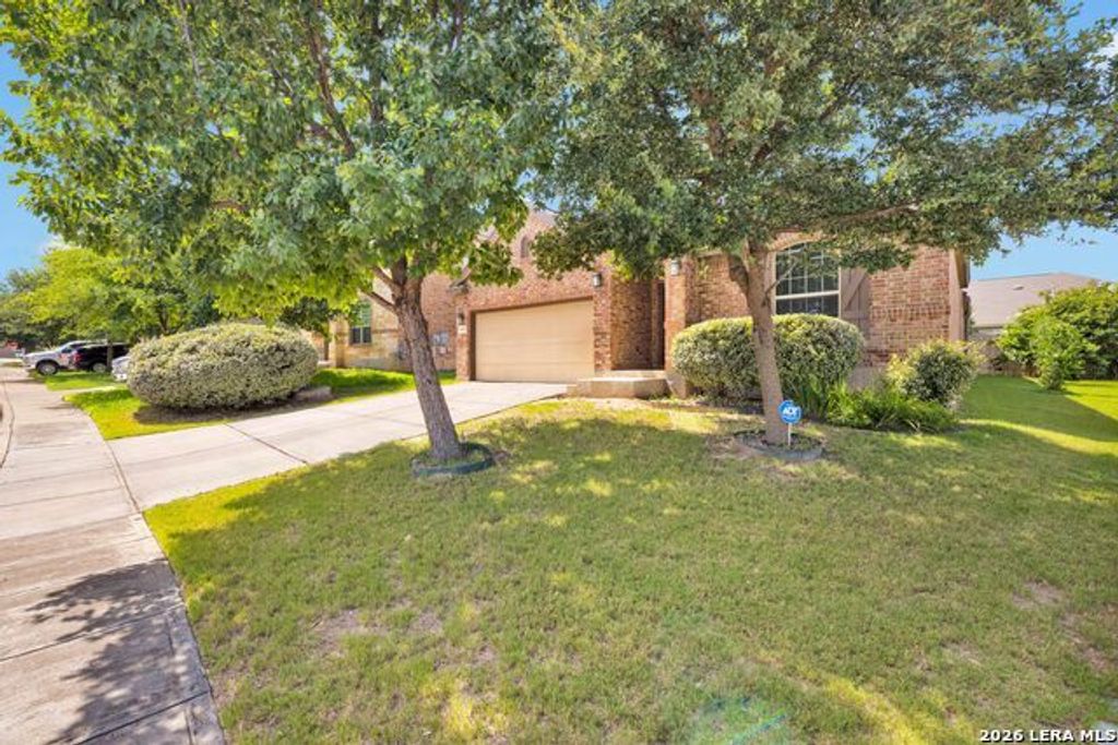 15123 Gelding, San Antonio
