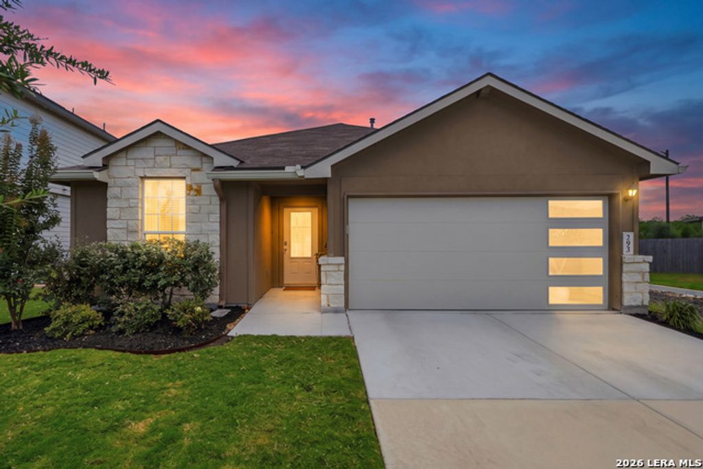 293 Grey Woodpecker, San Antonio