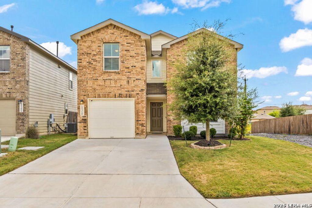 15310 Smoky Honeyeater, San Antonio
