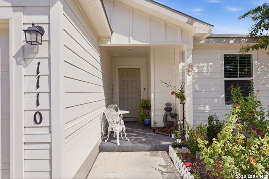 1110 Western Whipbird, San Antonio