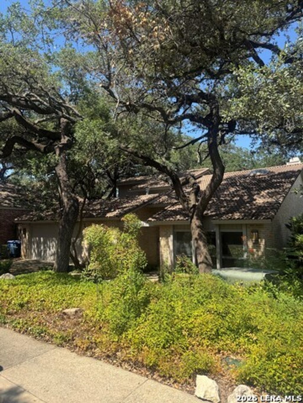 24 Donore, San Antonio