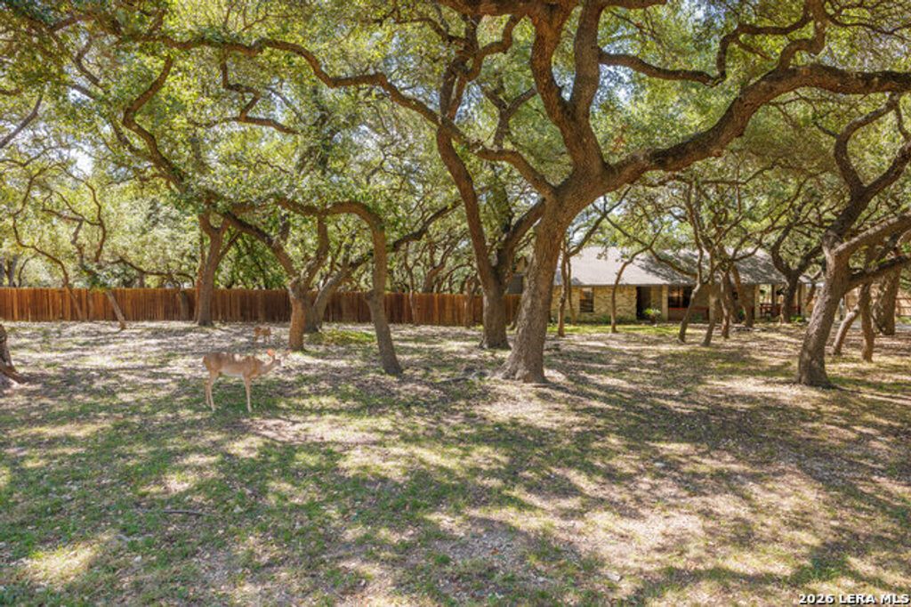 112 Golden Morn, San Antonio