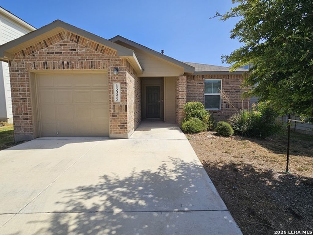 15355 Brown Violetear, San Antonio
