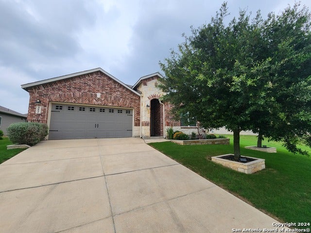 352 Lillianite, New Braunfels