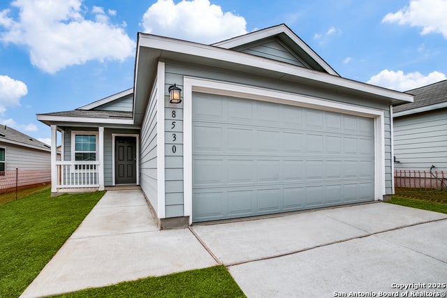 8530 Western Tanager, San Antonio