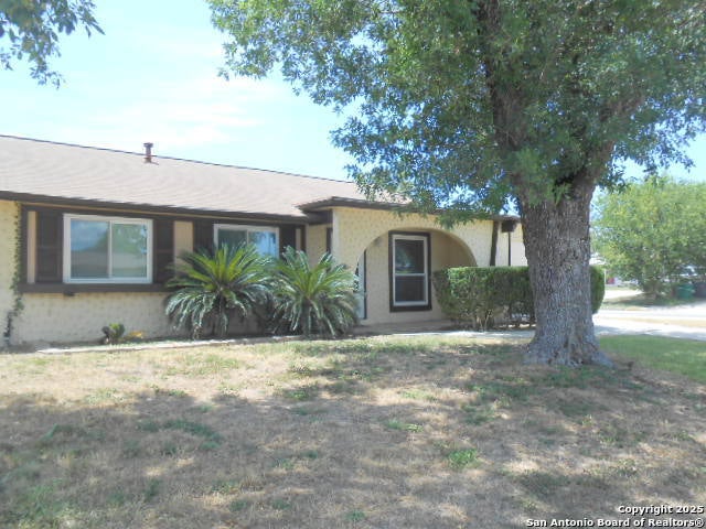 703 Smoke Tree, San Antonio