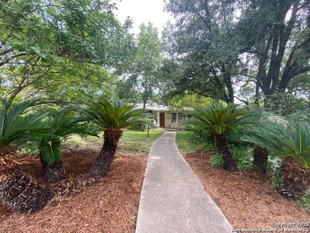 1004 Ivy Lane, San Antonio