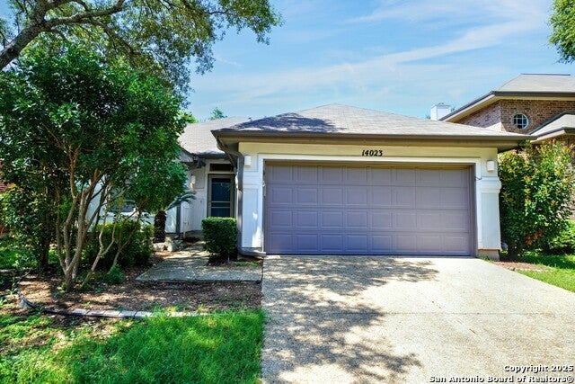14023 Red Maple Wood, San Antonio