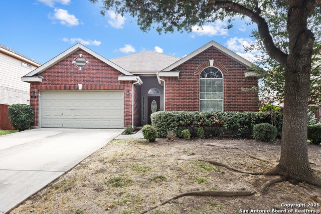 157 Crimson Tree, Cibolo