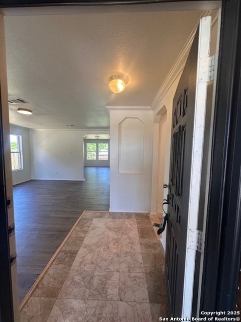 1667 Spice, San Antonio