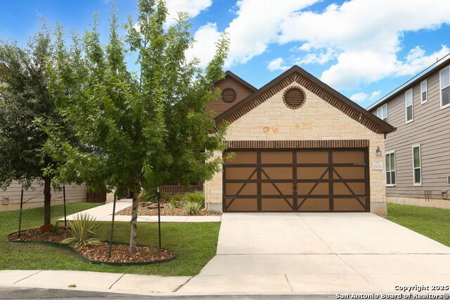 1126 Galapagos, San Antonio