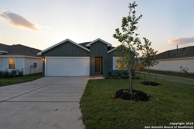 1686 Kolbe, New Braunfels