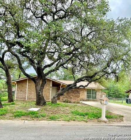 313 Mockingbird, Devine