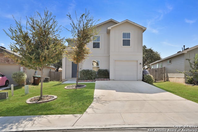15326 Brown Violetear, San Antonio
