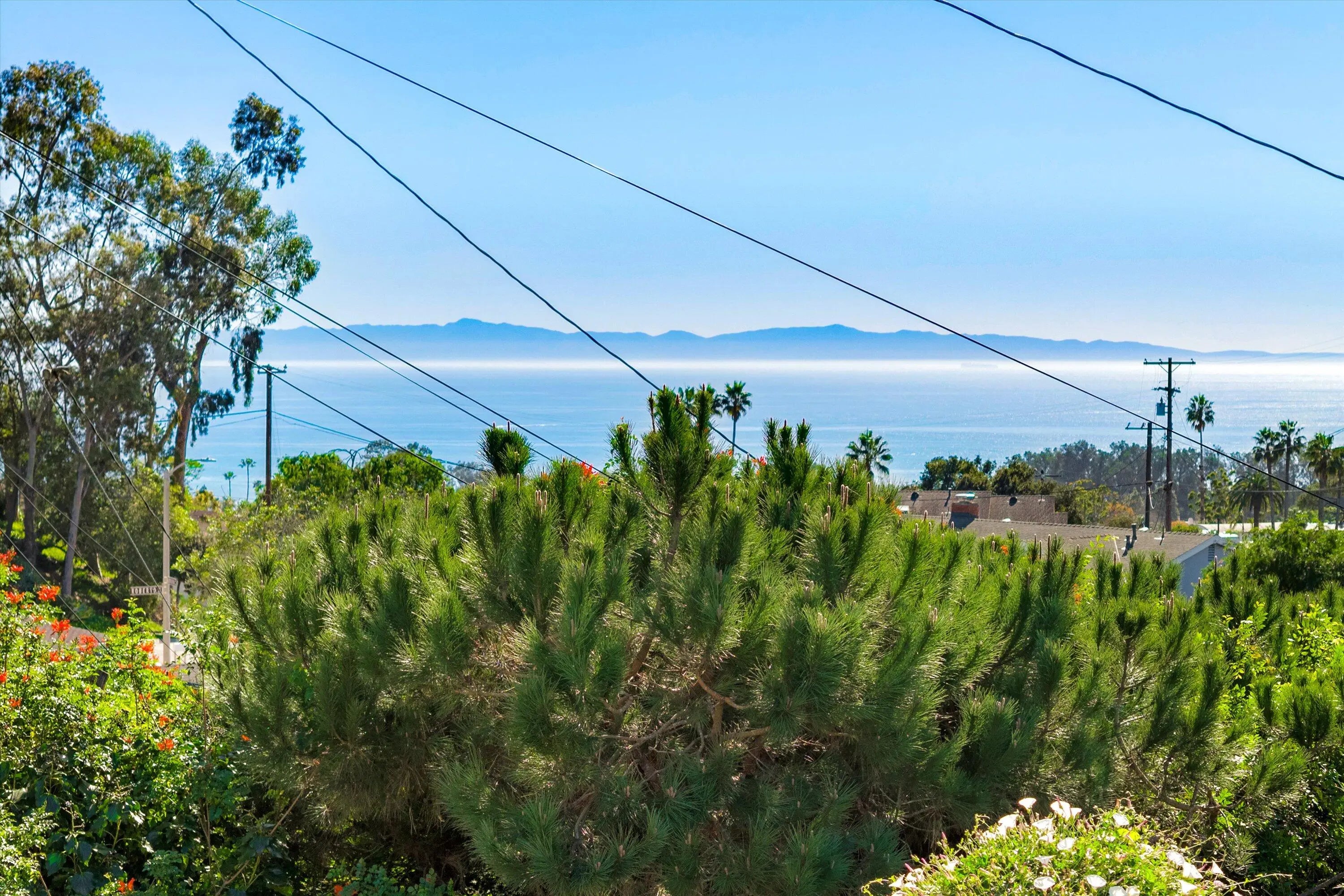 Photo of Listing #26-679